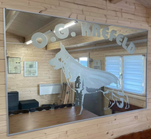 08.04.2021: Vereinsheim - Der Vereinsspiegel mit unserem Logo hängt auch wieder - unbeschadet !