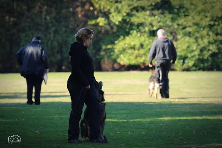 Wieder unterwegs mit dem SV