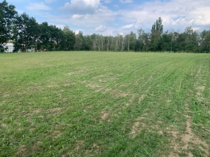 15.07.2020: Erster Rasenschnitt erledigt