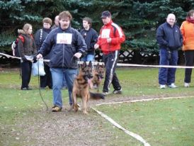 Zucht&amp;Nachwuchsschau